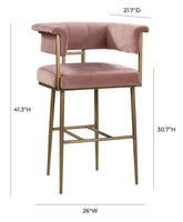 Astrid Blush Velvet Bar Stool Model: TOV-D44028